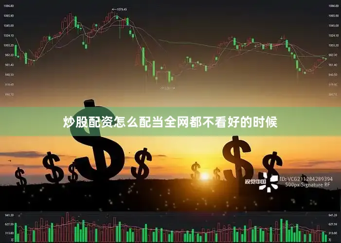 炒股配资怎么配当全网都不看好的时候