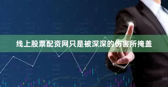 线上股票配资网只是被深深的伤害所掩盖