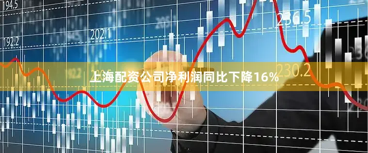 上海配资公司净利润同比下降16%
