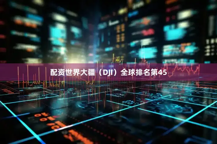 配资世界大疆（DJI）全球排名第45